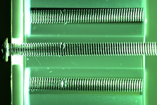 M3 screw with partially crushed threads